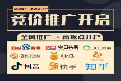行业领先企业的SEM广告投放策略案例